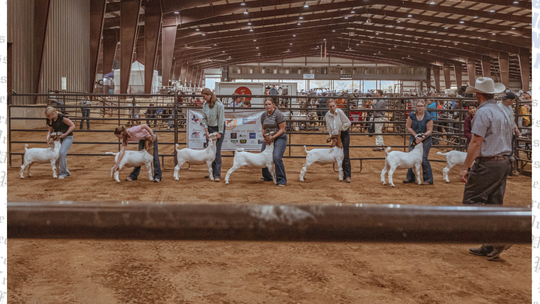 Ag boosters host 2025 Dripping Springs Fall Classic