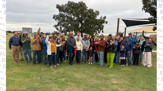 Local business donates 15 trees for 15 years