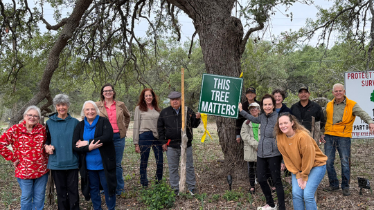 Residents urge Kyle to reconsider tree removal