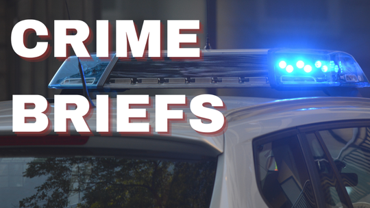 Suspect arrested after stolen vehicle crashes into Kyle Police Department patrol vehicle