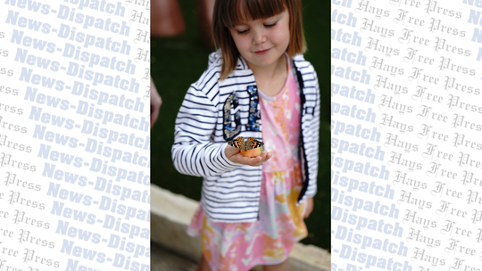 Wings aplenty at EmilyAnn's 26th annual Butterfly Festival