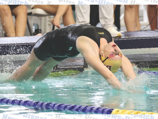 11 Dripping Springs High School swimmers advance to State