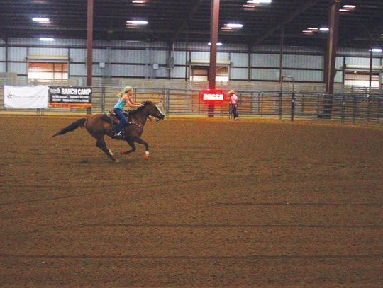 12th Annual Dripping Springs Fair and Rodeo
