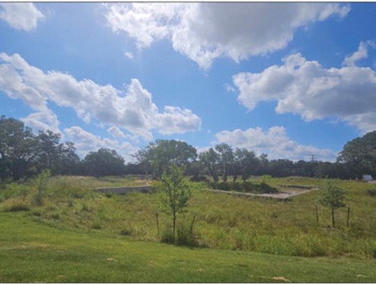 Alexis Pointe supports eco-friendly initiatives