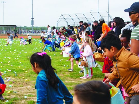 An egg-cellent occasion in Buda