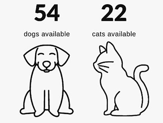 Animal shelter struggles with overcapacity