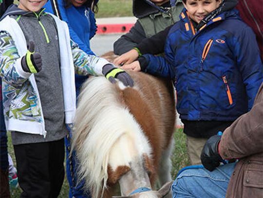 Animals, choppers, more at Negley Outdoor Expo