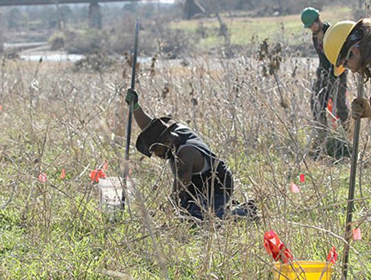 Blanco River reforestation OKed to continue