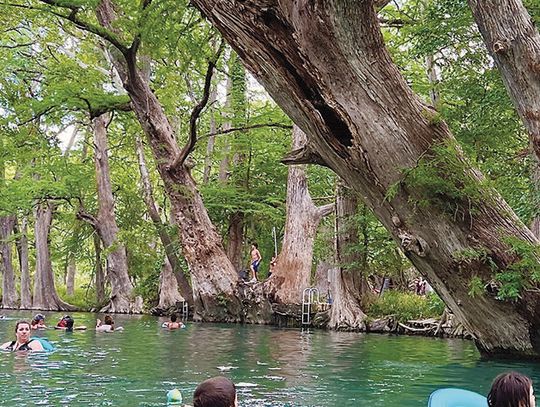 Blue Hole Regional Park announces start of 2024 swim season