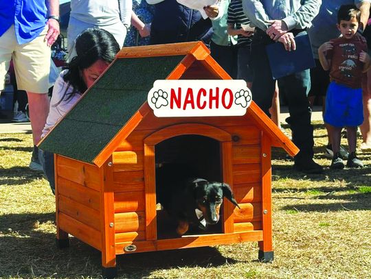 Buda hosts inaugural Ground Dog Day