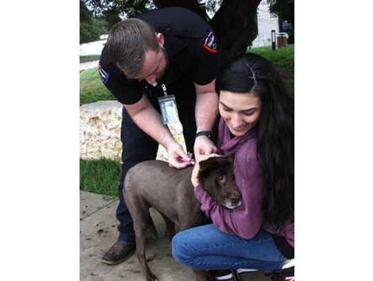 Buda initiates free, limited time microchipping pets