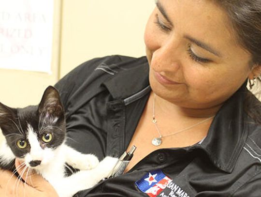 Buda OKs resolution for no-kill animal shelter
