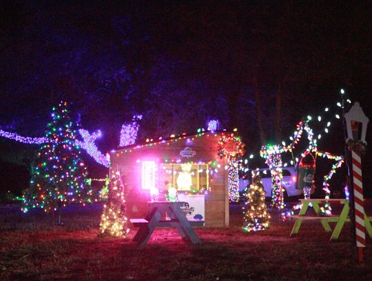 Buda’s Trail of Lights is the perfect little Christmas getaway 