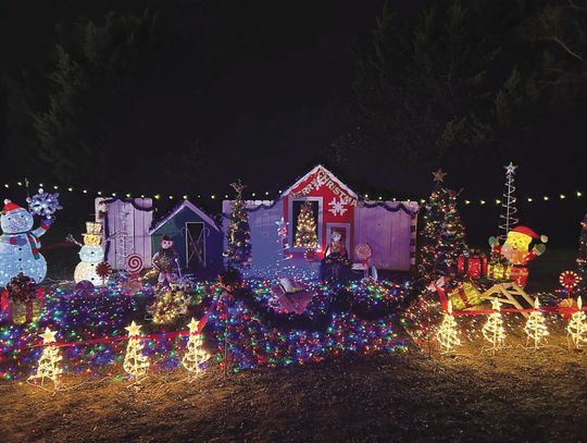 Buda Trail of Lights delights