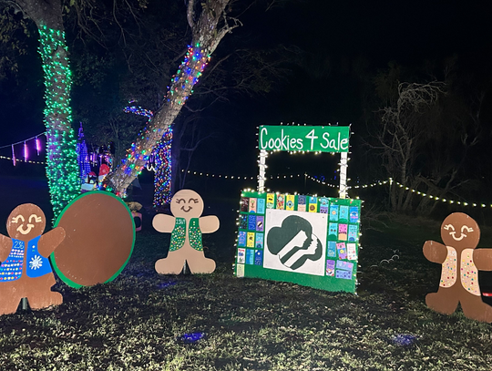 Buda Trail of Lights: May your holidays be merry & bright