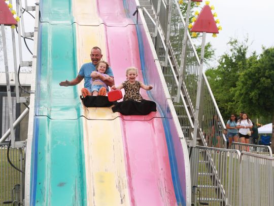 Buda turns 142 years old