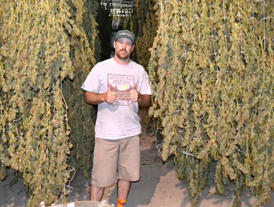 CBD is A-OK: Dripping Springs produces first hemp crop since new law