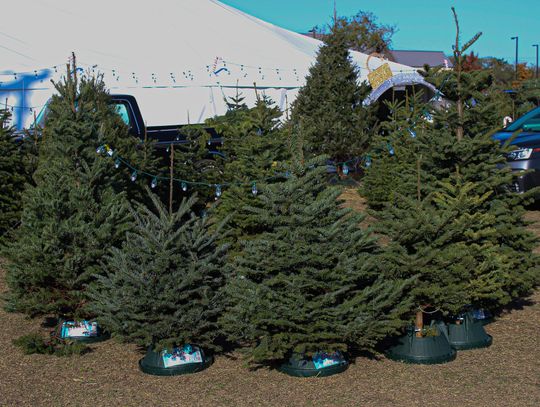 Christmas on Mercer