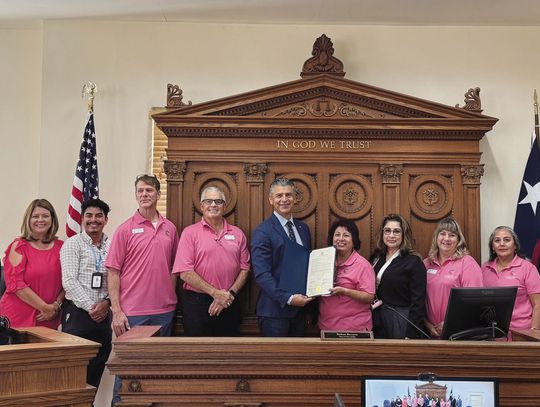 Commissioners go pink for breast cancer