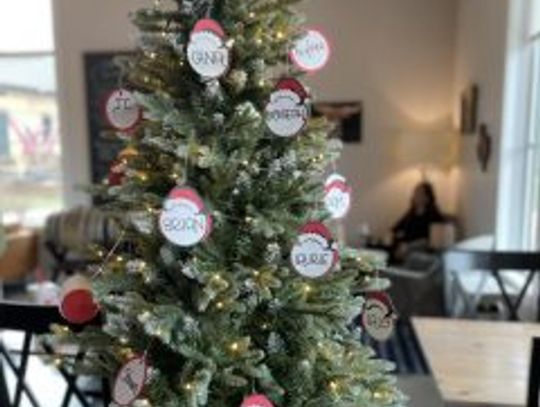 Community gives to Buda’s Brightside