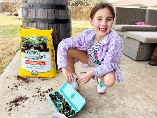 Community supports 7-year-old’s plant business