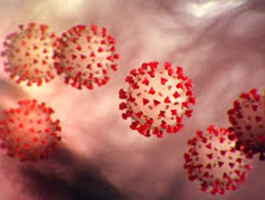 COVID-19 infections rise, Hays County suggest safe holiday gatherings