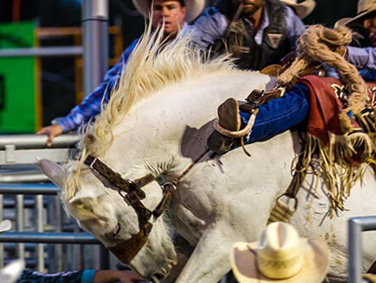 Cowpokes saddle up at annual rodeo