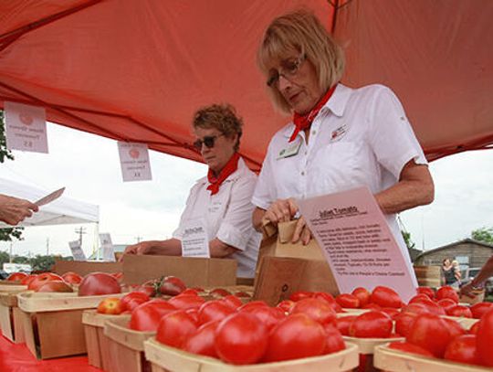 Cultivating success: Tomato Roundup showcases resurgence of local gardeners