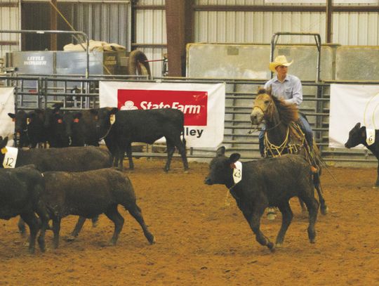 Dripping Springs Fair and Rodeo back for 13th year