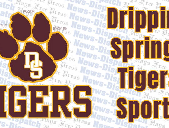Dripping Springs High School qualifies four for state wrestling