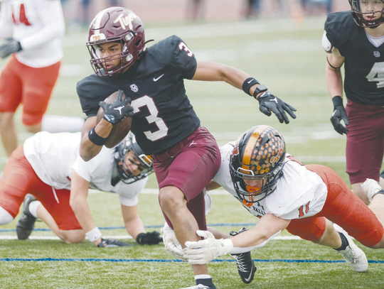 Dripping Springs Tiger football advances to regional finals