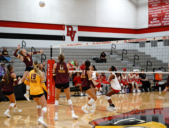 Dripping Springs Lady Tigers best Del Valle Cardinals, fall to Austin Maroons