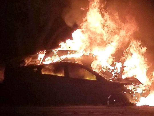 Dripping Springs man saved from car fire