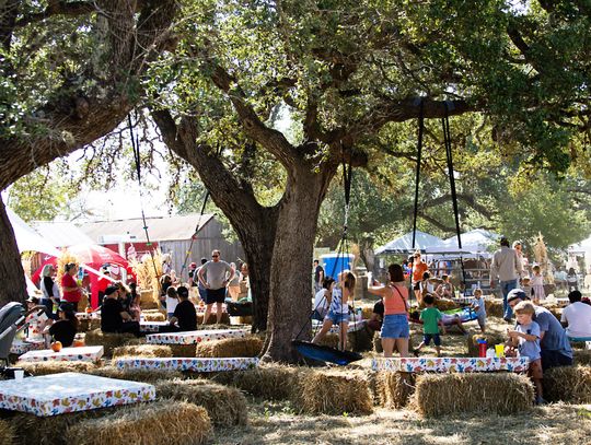 Dripping Springs Pumpkin Festival kicks off
