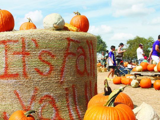 Dripping Springs Pumpkin Festival moves to Uhland