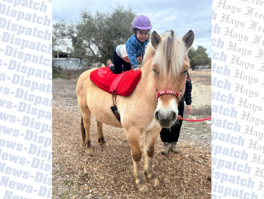 Dripping Springs' Red Arena supports disabled community members