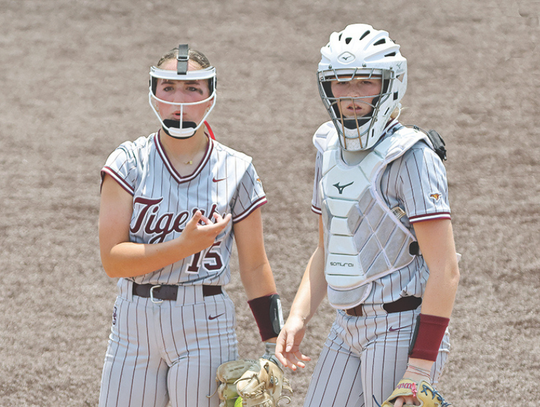 Dripping Springs softball regains momentum to win series