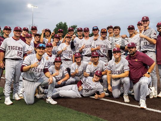 Dripping Springs Tigers are co-district champions in baseball