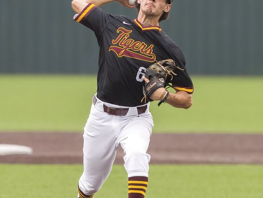 Dripping Springs Tigers baseball is Bi-District Champion