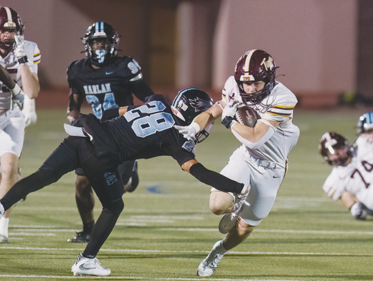 Dripping Springs Tigers win, named Regional IV Area Champions