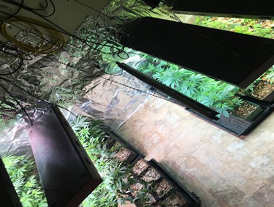 Dripping Springs woman arrested in major narcotics bust