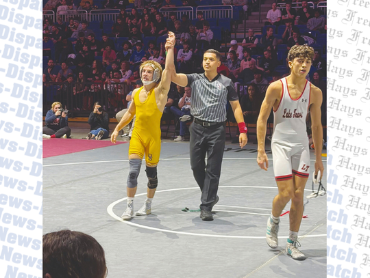 Dripping Springs High School wrestler named state champion again