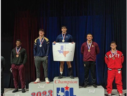 DSHS wrestler takes third at State