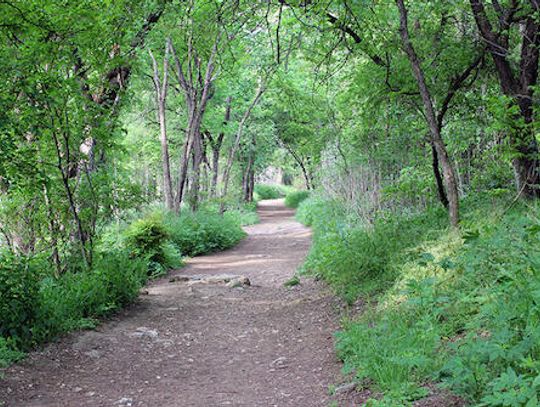 Emerald Crown Trail: Network of county trails closer to fruition