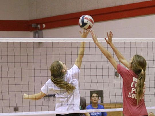 Experience guides Rebel volleyball roster in 2018
