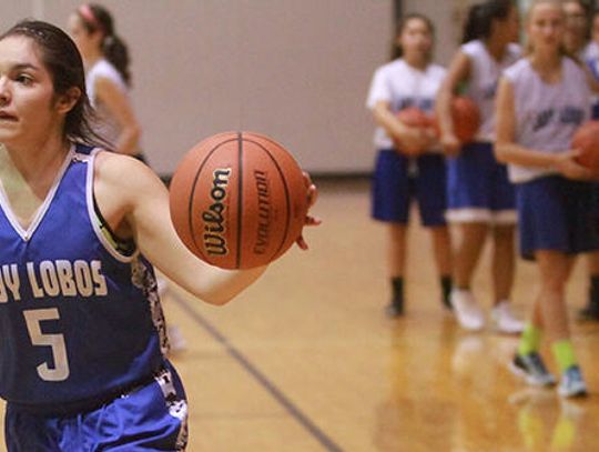 Familiarity to guide Lady Lobo hoops