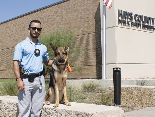 Farm dog to Hays County Sheriff's Office officer: Mirko's story