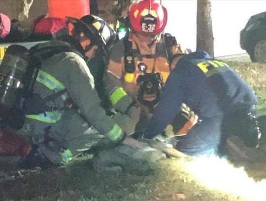 Five family pets killed in Kyle house fire
