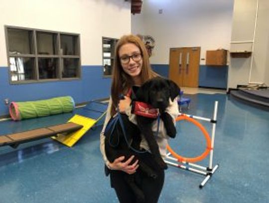 Freedom Canines partners with WISD to raise life-saving assistance dogs