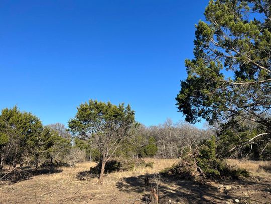 Fuel reduction grants available for landowners